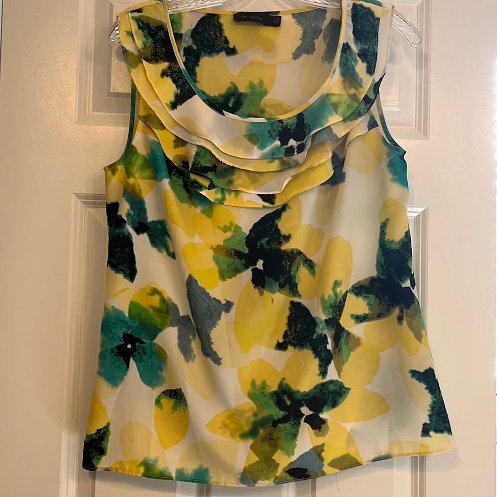 The Limited beautiful ruffle collar top.